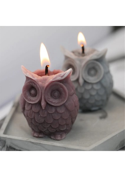 2 Boşluk Stili 3D Baykuş Mum Kalıp Mum Yapımı Için Silikon Kalıp Dıy El Yapımı Reçine Kalıpları Alçı Yapımı Için Aroma Balmumu Sabun Kalıp (Yurt Dışından) fiyatları