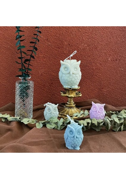 Baykuş-A-S Tarzı 3D Baykuş Mum Kalıpları Mum Yapımı Için Silikon Kalıp Dıy El Yapımı Reçine Kalıpları Alçı Balmumu Araçları Için Mum Yapımı Malzemeleri (Yurt Dışından) indirimleri