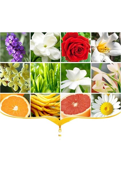 Kiraz Çiçekleri Tarzı Dıy Mum Mumu Jöle Mumu, Soya Fasulyesi Mumu, Buz Çiçek Mumu, Hindistancevizi Mumu, Parafin Mumu, El Yapımı El Sanatları Için Özel Uçucu Yağ (Yurt Dışından) indirimleri