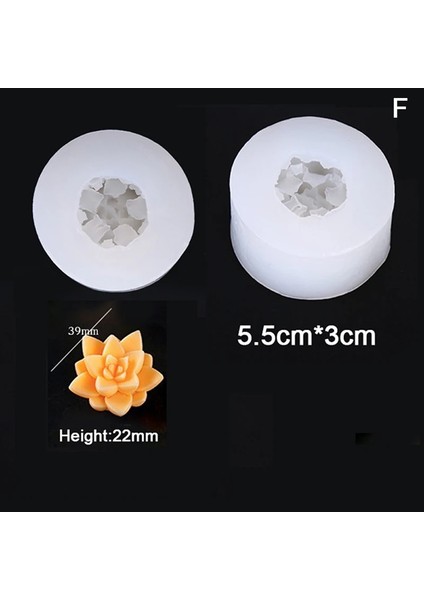 F Stili El Yapımı 3D Muti-Et Bitkiler Silikon Sabun Kalıp Çiçek Şekli Kek Cupcake Puding Mum Sabun Yapımı Için Malzemeler Aracı (Yurt Dışından)