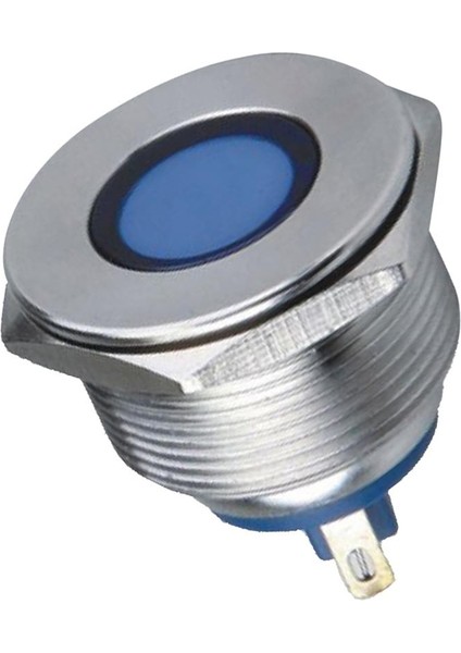 IP67 Su Geçirmez 12V 25MM LED Araba Kamyonu Uyarı Göstergesi Işık Düz Yeni (Yurt Dışından)