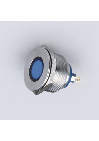 IP67 Su Geçirmez 12V 25MM LED Araba Kamyonu Uyarı Göstergesi Işık Düz Yeni (Yurt Dışından)