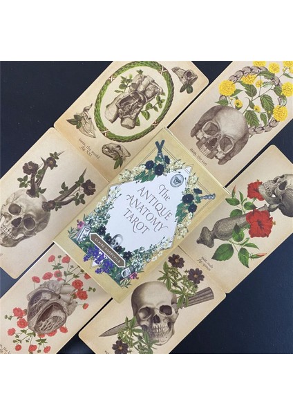 TT95 Tarzı Yaşam Çemberi Tarot Ingilizce Versiyonu Herbcrafter'ın Tarot Destesi Oyun Tahtası Oracle Kartları Aile Partisi Oynama (Yurt Dışından) indirimleri