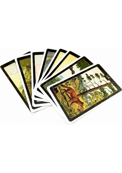 Lenormand Oracle Kartları Ingilizce Versiyonu Tarot 44 Kartlı Güverte Kehaneti Kader Masa Oyunu Aile Partisi (Yurt Dışından) fırsatları