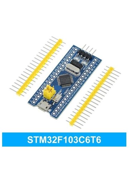 STM32F103C8T6 CH32F103C8T6 Arm STM32 Minimum Sistem Geliştirme Kartı STM32F401 STM32F411 + St-Lınk V2 Programcı Indir (Yurt Dışından)