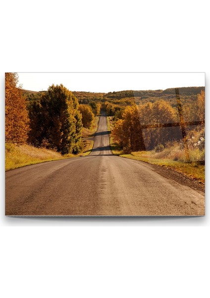 Ağaçlı Yol Yatay Cam Tablo fiyatları