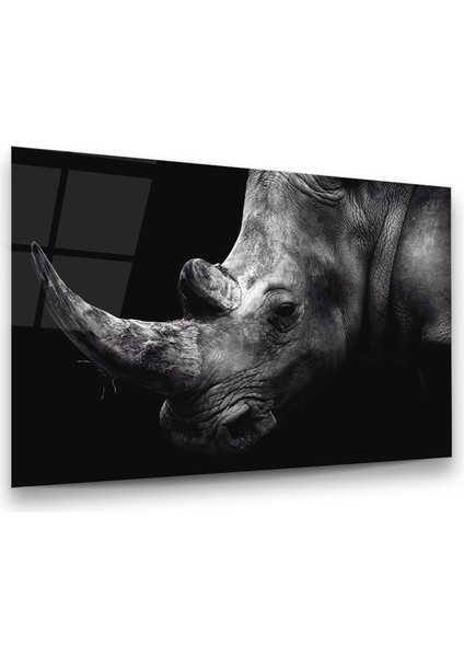 Gergedan Yatay Cam Tablo