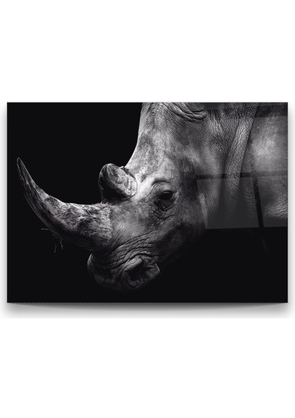 Gergedan Yatay Cam Tablo fiyatları