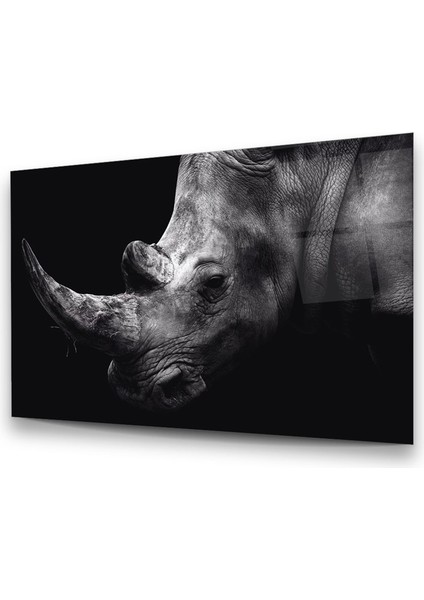 Gergedan Yatay Cam Tablo modelleri