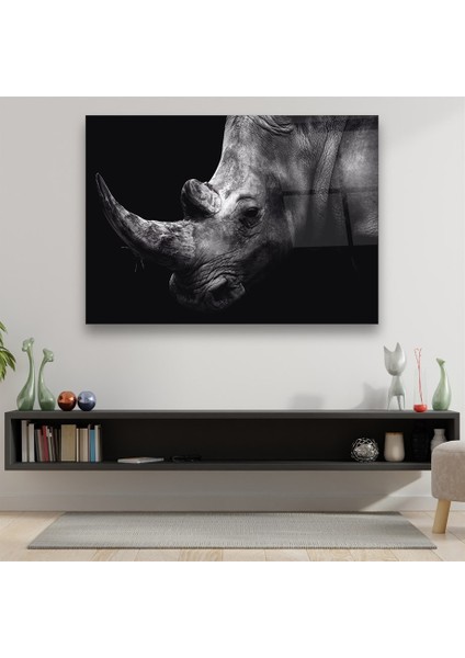 Gergedan Yatay Cam Tablo fırsatları