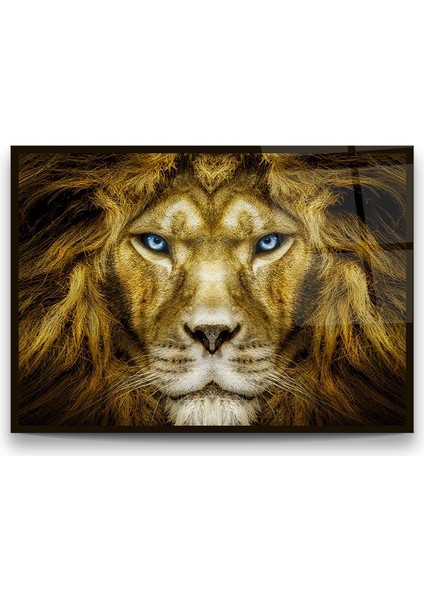 Aslan Yatay Cam Tablo fiyatları