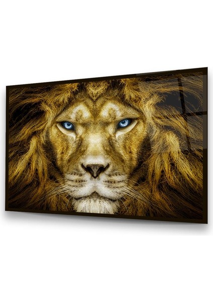 Aslan Yatay Cam Tablo modelleri