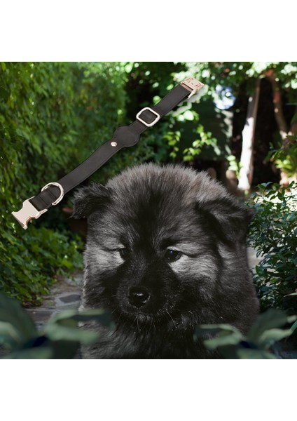 Gerçek Deriden El Yapımı Köpek Tasması, Apple Airtag Uyumlu Yuva, 50CM Ayarlanabilir Ölçü, Mat Siyah