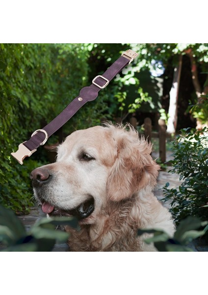 Gerçek Deriden El Yapımı Köpek Tasması, Apple Airtag Uyumlu Yuva, 50CM Ayarlanabilir Ölçü, Antik Mor