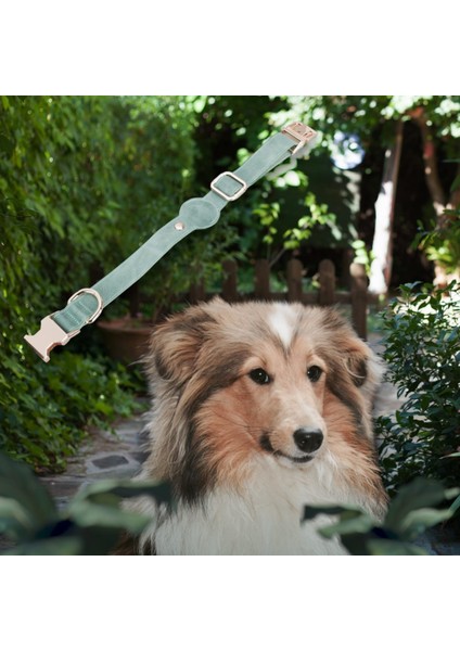 Gerçek Deriden El Yapımı Köpek Tasması, Apple Airtag Uyumlu Yuva, 50CM Ayarlanabilir Ölçü, Antik Yeşil