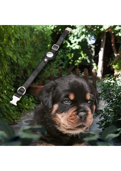 Gerçek Deriden El Yapımı Köpek Tasması, Apple Airtag Uyumlu Yuva, 50CM Ayarlanabilir Ölçü, Parlak Siyah