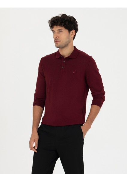 Erkek Kırmızı Regular Fit Polo Yaka Yün Karışımlı Basic Triko Kazak 50270051-VR030