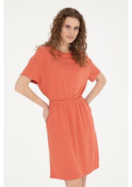 Kadın Pudra Elbise (Örme) 50289205-VR042