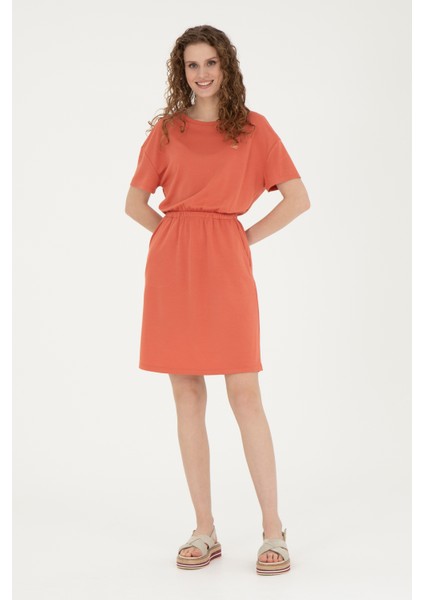 Kadın Pudra Elbise (Örme) 50289205-VR042 fırsatları