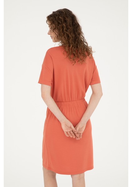 Kadın Pudra Elbise (Örme) 50289205-VR042 indirimleri