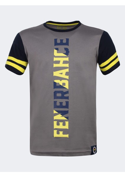 Erkek Trıbun Dikey Fenerbahçe Tshırt