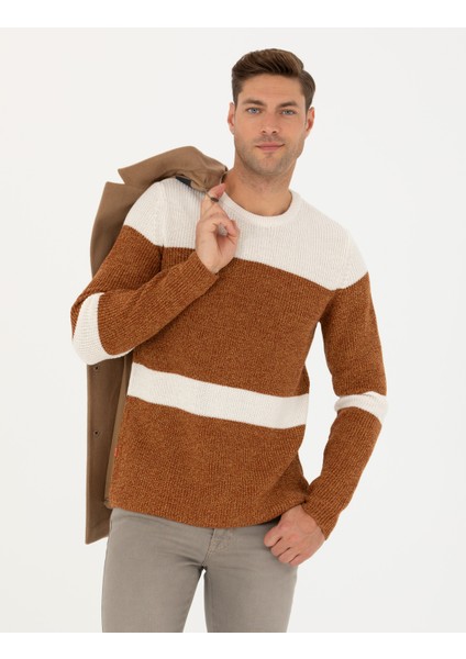 Erkek Bej Slim Fit Bisiklet Yaka Yün Karışımlı Triko Kazak 50278098-VR011 modelleri