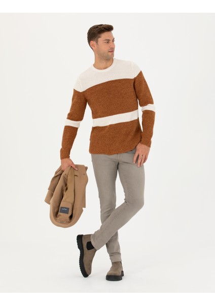 Erkek Bej Slim Fit Bisiklet Yaka Yün Karışımlı Triko Kazak 50278098-VR011 indirimleri