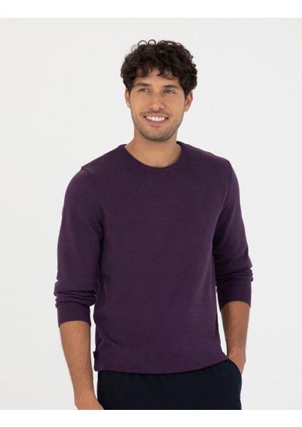 Erkek Mor Slim Fit Bisiklet Yaka Basic Triko Kazak 50270179-Vr038