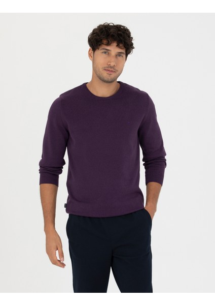 Erkek Mor Slim Fit Bisiklet Yaka Basic Triko Kazak 50270179-Vr038