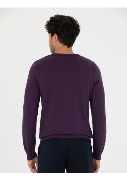 Erkek Mor Slim Fit Bisiklet Yaka Basic Triko Kazak 50270179-Vr038