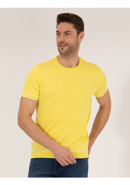 Erkek Açık Sarı Slim Fit Bisiklet Yaka Triko Tişört 50268875-VR004