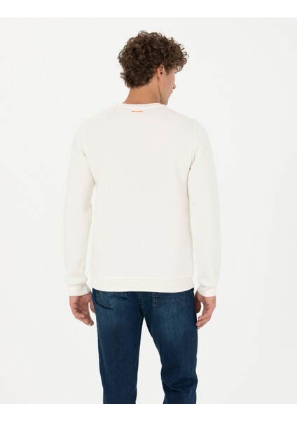 Erkek Ekru Regular Fit Sweatshirt 50276187-VR019