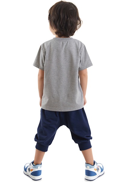 Tembel Hayvan Erkek Çocuk T-shirt Kapri Takım fiyatları