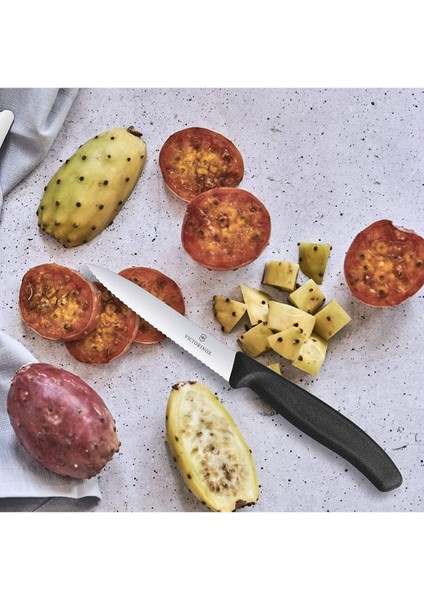 Evrekala Shop Tırtıklı Bıçak Seti Victorinox Masa Knife Set 8 Adet -Yetkili Satıcı Evrekala- fiyatları