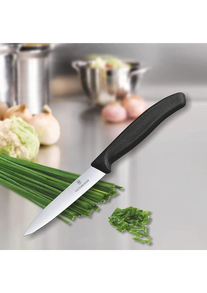 Evrekala Shop Büyük Bıçak Seti Victorinox Masa Yemek Takımı 10'lu Set -Yetkili Satıcı EVREKALA-10CM