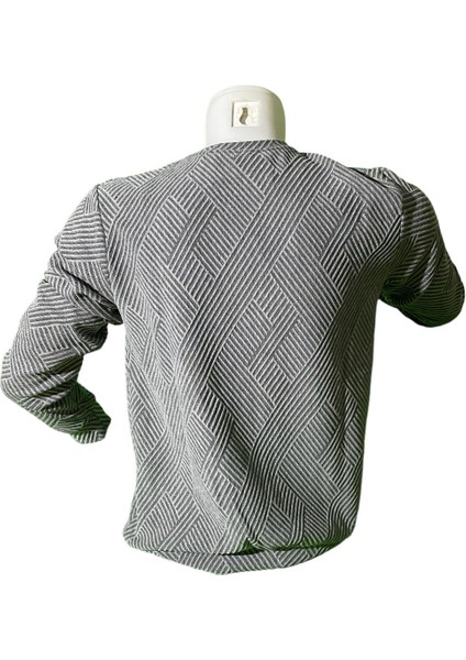 Çizigili Erkek Sweat fiyatları