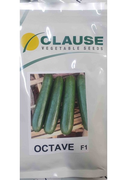 Octave F1 Hibrit Salata Tohumu 2.500 Adet