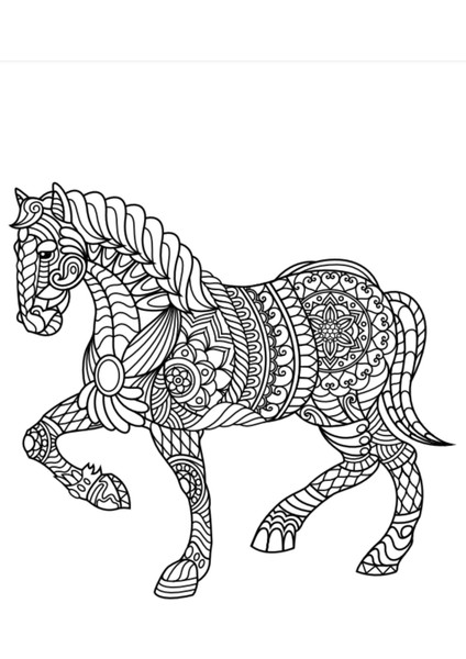 100 Karışık Mandala Kitap Seti - 3 Kitap modelleri