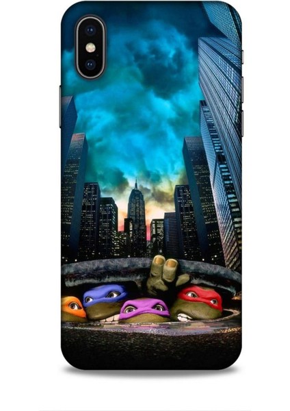 Apple iPhone x Kılıf Caliburn 11 Ninja Kablumbağalar 4K Baskılı Kılıf