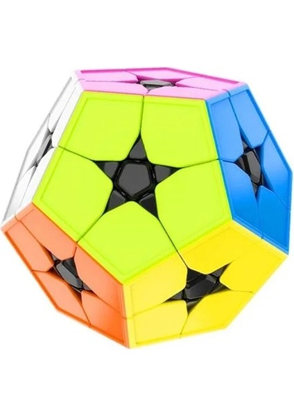 Etiketsiz Stil [picube]moyu Mofang Jiaoshi Meilong 2x2 Megaminx Çıkartmasız Sihirli Küp Kilominx Dodecahedron 2x2 Renkli Kibiminx Hız Küpü (Yurt Dışından)