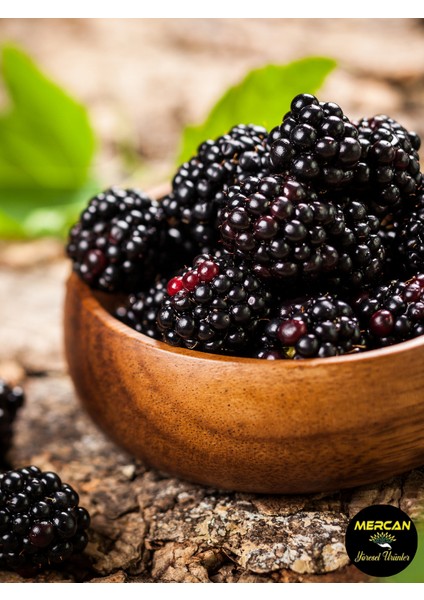 %100 Doğal Hatay Usulü Böğürtlen Şurubu 650 gr fiyatları