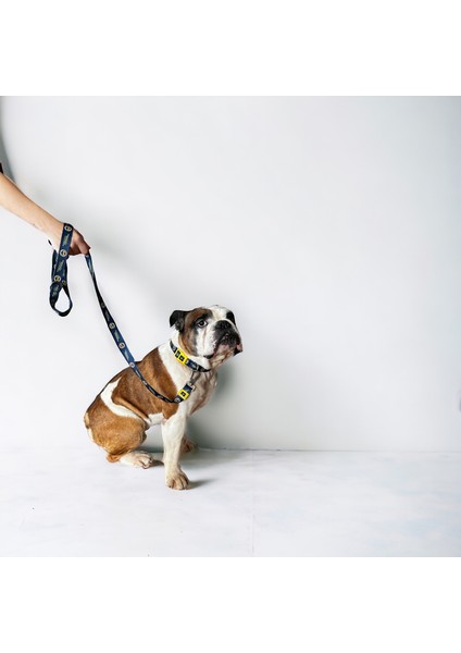 Pawlook, Fenerbahçe Lisanslı, Köpek Gezdirme Kayışı, Gezdirme Tasması modelleri