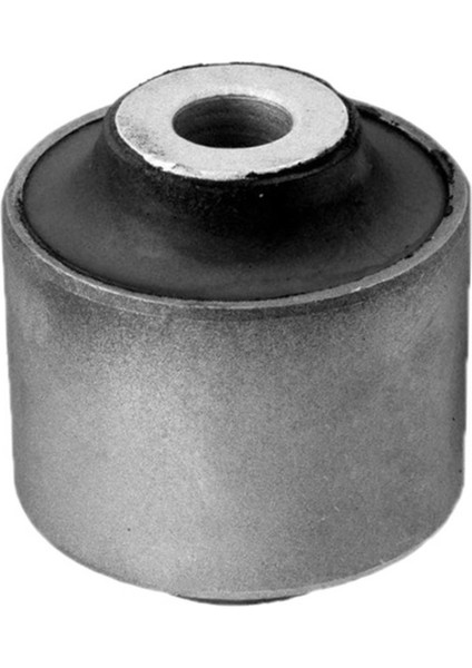 Salıncak Burcu Onun Arkası Amarok 10>