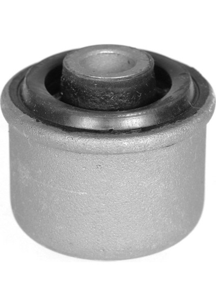 Salıncak Burcu Renault R19 Meganeı Scenıc I