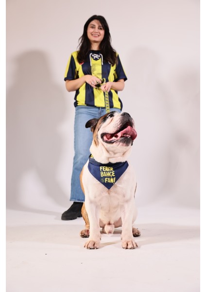 Pawlook,fenerbahçe Lisanslı, Köpek Bandanası,tasma