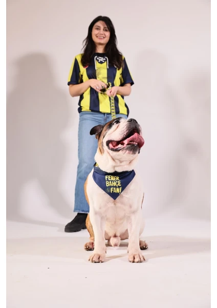 Pawlook,fenerbahçe Lisanslı, Köpek Bandanası,tasma