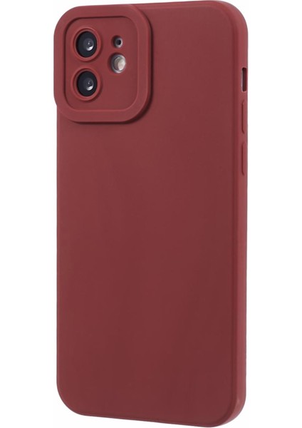 Apple 11 Telefon Kılıfı (Yurt Dışından)