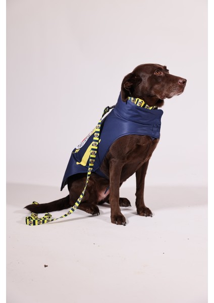 Pawlook,fenerbahçe Lisanslı,köpek Yağmurluğu,