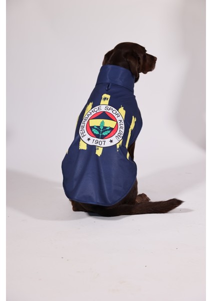 Pawlook,fenerbahçe Lisanslı,köpek Yağmurluğu,