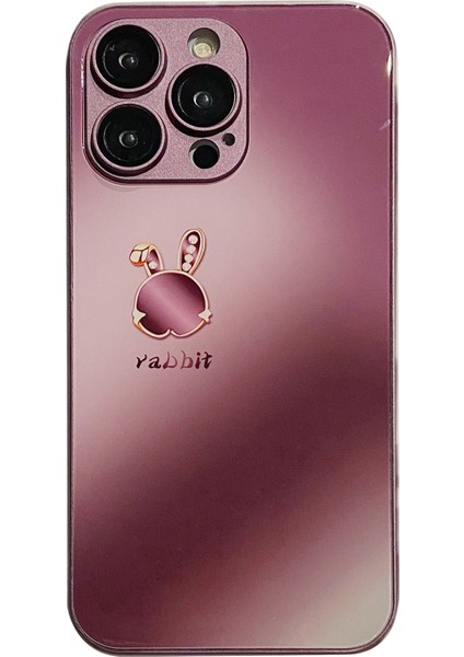 Apple iPhone 14 Pro Max Telefon Kılıfı (Yurt Dışından)